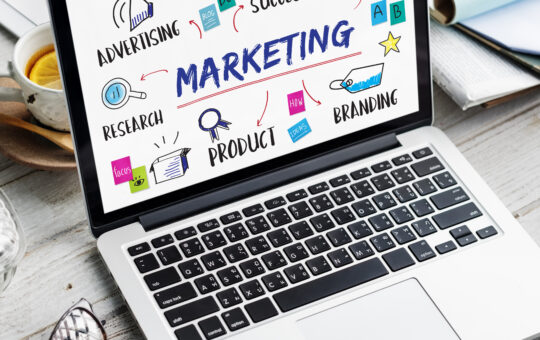 Digital Marketing Agency in Ambala